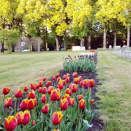 Garni Goldene Traube Szálloda
