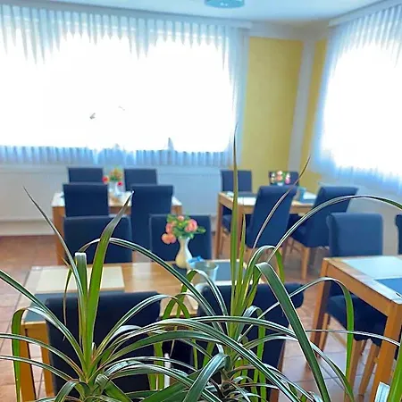Hotel Garni Goldene Traube 3*