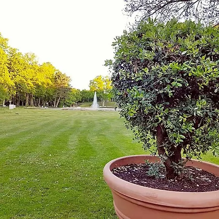 Garni Goldene Traube 3* Bad Windsheim